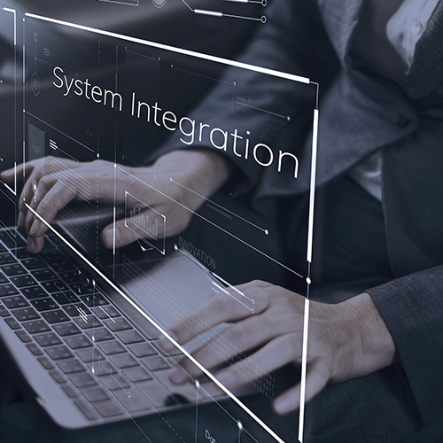 System Integration Services