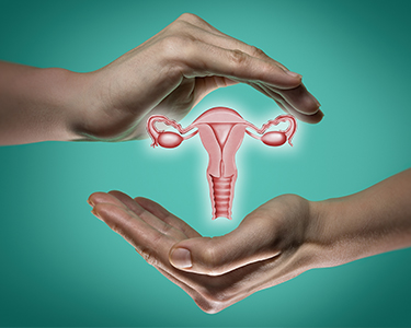 Gynecology Hospital Management System