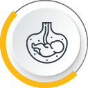 Embryology
