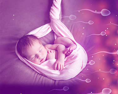 Writer IVF Solution