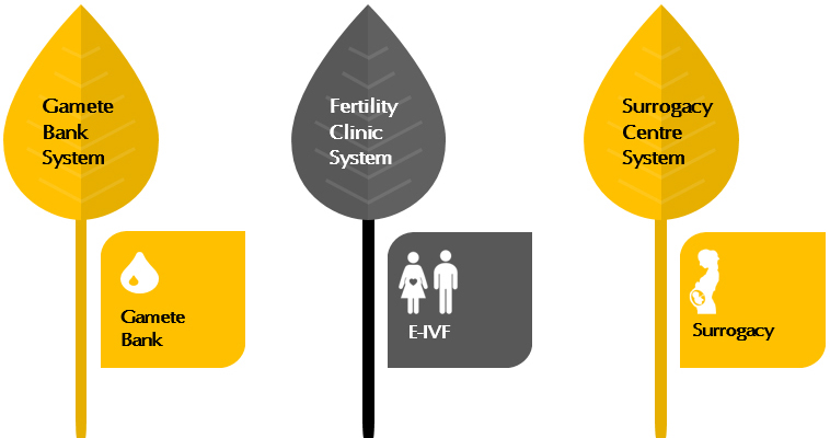 Writer Information IVF Solution